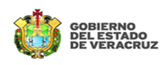 Logotipo de Gobierno del Estado de Veracruz